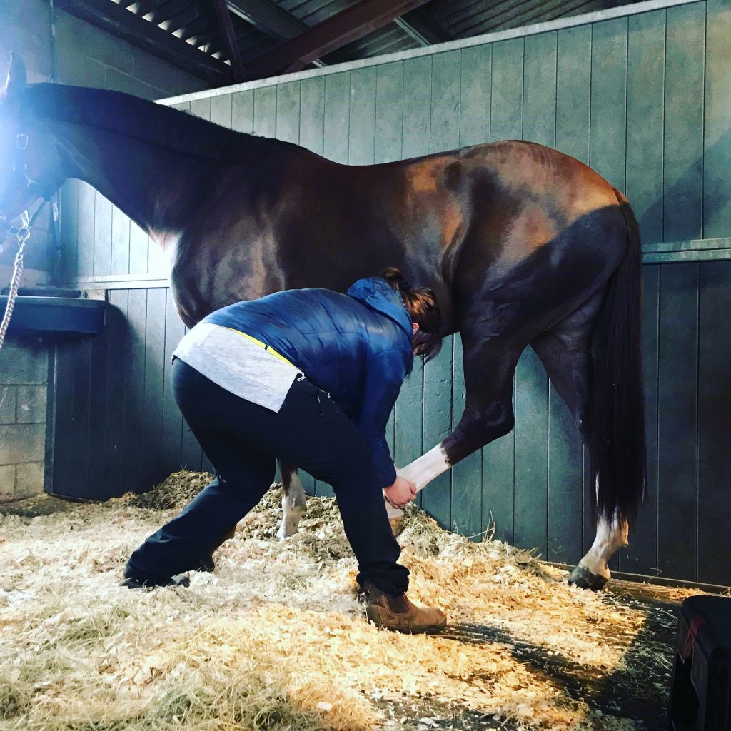 Stretching Herts Horses